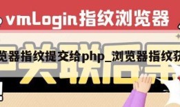 浏览器指纹提交给php_浏览器指纹获取