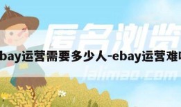 ebay运营需要多少人-ebay运营难吗