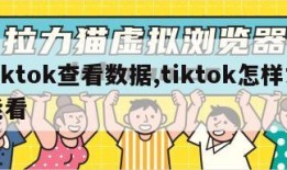 tiktok查看数据,tiktok怎样才能看