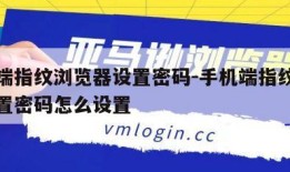 手机端指纹浏览器设置密码-手机端指纹浏览器设置密码怎么设置