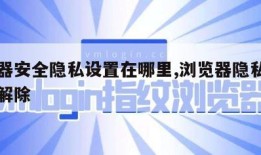 浏览器安全隐私设置在哪里,浏览器隐私设置在哪解除