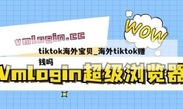 tiktok海外宝贝_海外tiktok赚钱吗