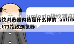 指纹浏览器内核是什么样的_antidetect71指纹浏览器