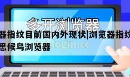 浏览器指纹目前国内外现状|浏览器指纹是什么意思候鸟浏览器