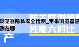 苹果浏览器隐私安全检测_苹果浏览器隐私安全检测在哪