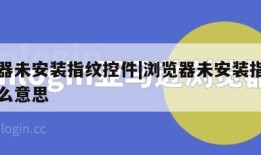 浏览器未安装指纹控件|浏览器未安装指纹控件什么意思