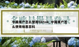 中国用户怎么使用tiktok_中国用户怎么使用维基百科