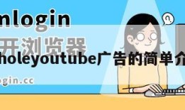 piholeyoutube广告的简单介绍