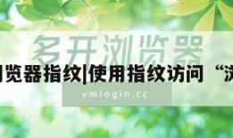 获取浏览器指纹|使用指纹访问“浏览器”