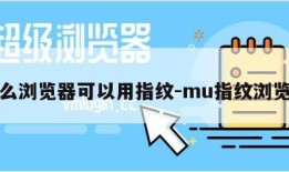 什么浏览器可以用指纹-mu指纹浏览器