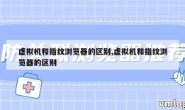 虚拟机和指纹浏览器的区别,虚拟机和指纹浏览器的区别