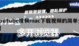 youtube视频mac下载视频的简单介绍