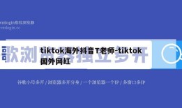 tiktok海外抖音T老师-tiktok国外网红