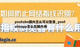 youtube国内怎么可以登录_youtubeapp怎么在国内用