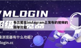 布兰妮在instagram上发布的视频的简单介绍