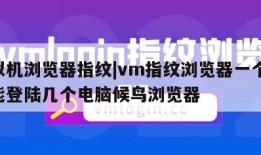 虚拟机浏览器指纹|vm指纹浏览器一个 账号能登陆几个电脑候鸟浏览器