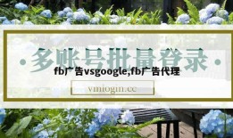 fb广告vsgoogle,fb广告代理