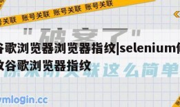 谷歌浏览器浏览器指纹|selenium修改谷歌浏览器指纹