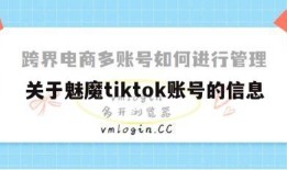 关于魅魔tiktok账号的信息