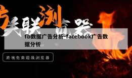 fb数据广告分析-facebook广告数据分析